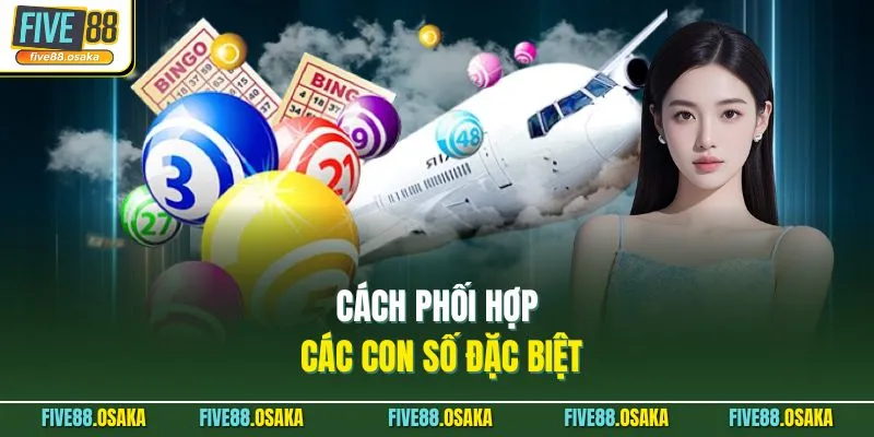Cách phối hợp các con số đặc biệt